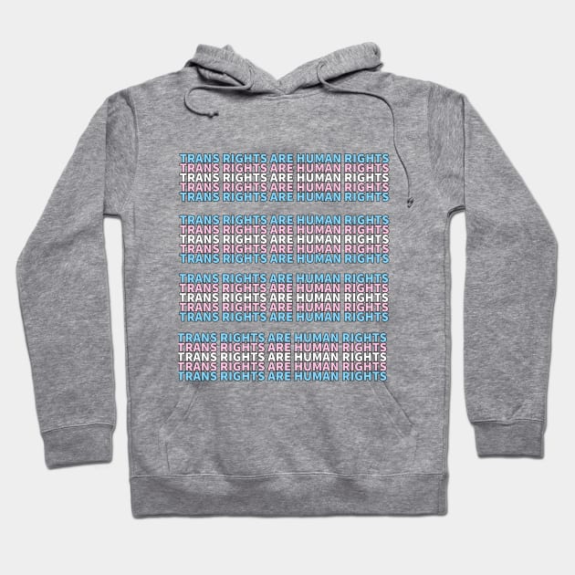 TRANS RIGHTS ARE HUMAN RIGHTS Hoodie by Karma Chameleon